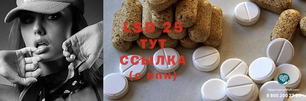 ПСИЛОЦИБИНОВЫЕ ГРИБЫ Алзамай