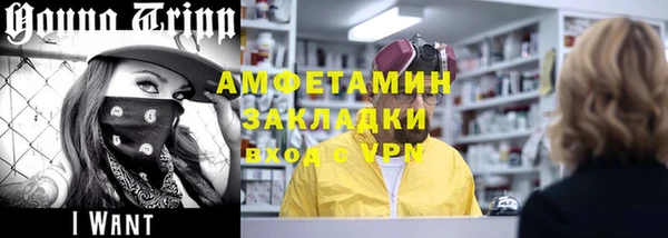 гидра Аркадак