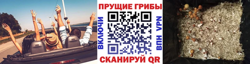 Галлюциногенные грибы MAGIC MUSHROOMS Еманжелинск