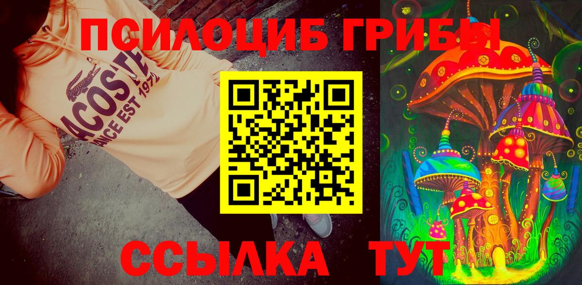 Псилоцибиновые грибы мицелий  купить закладку  Еманжелинск  Псилоцибиновые грибы мухоморы  Вход с VPN 